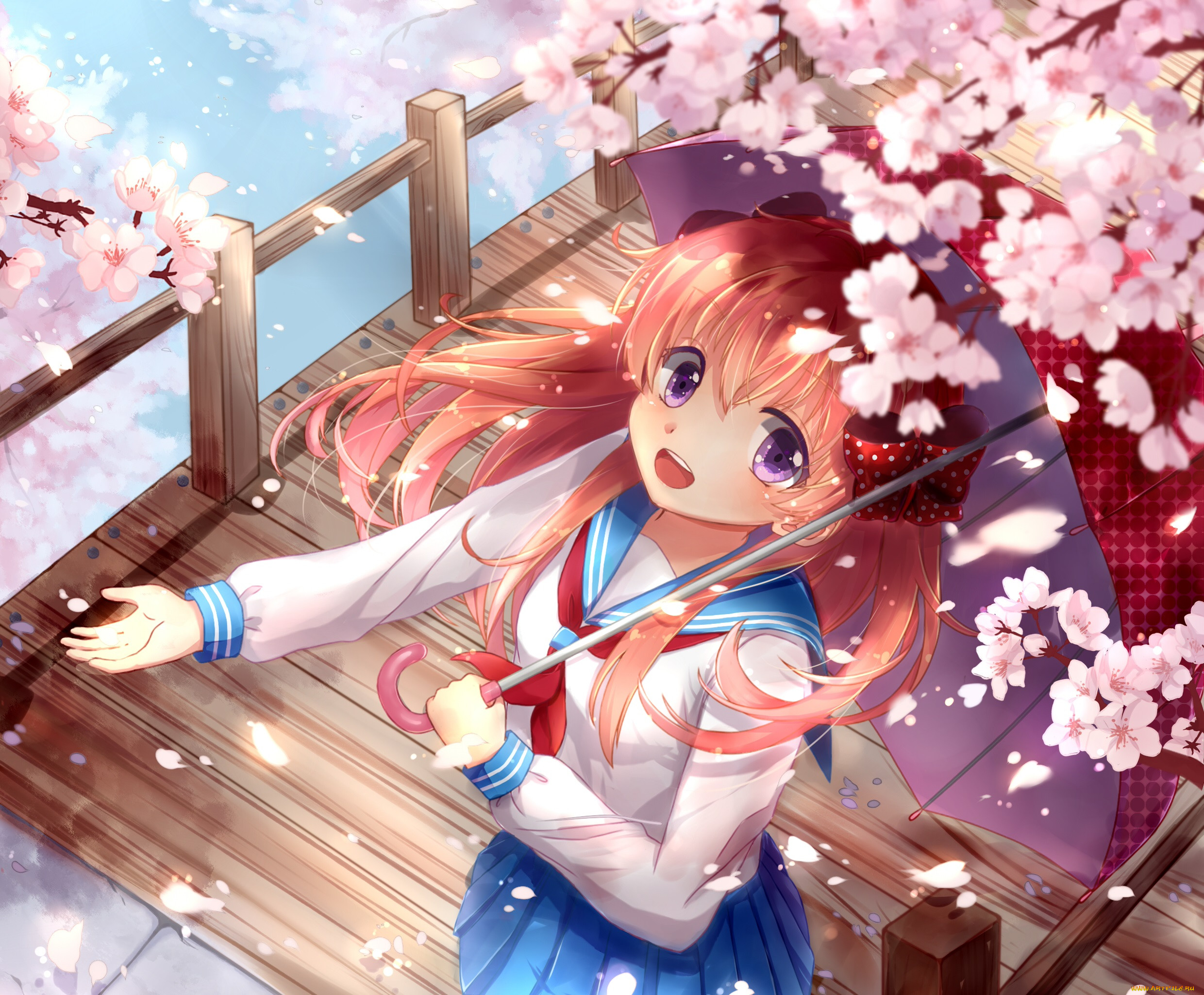 , gekkan shoujo nozaki-kun, sakura, chiyo